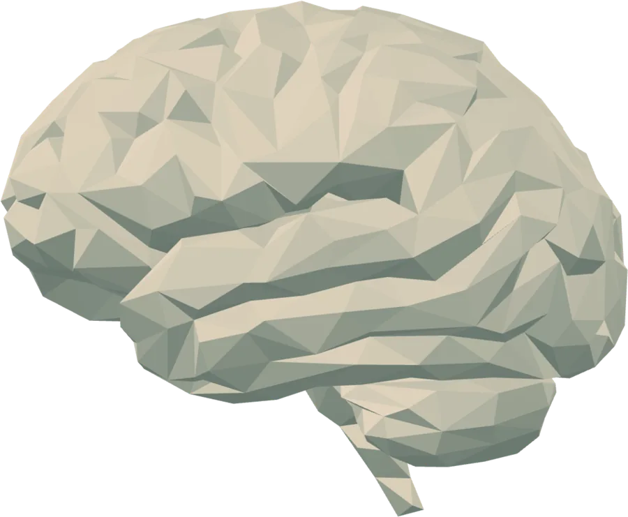 Client brain model